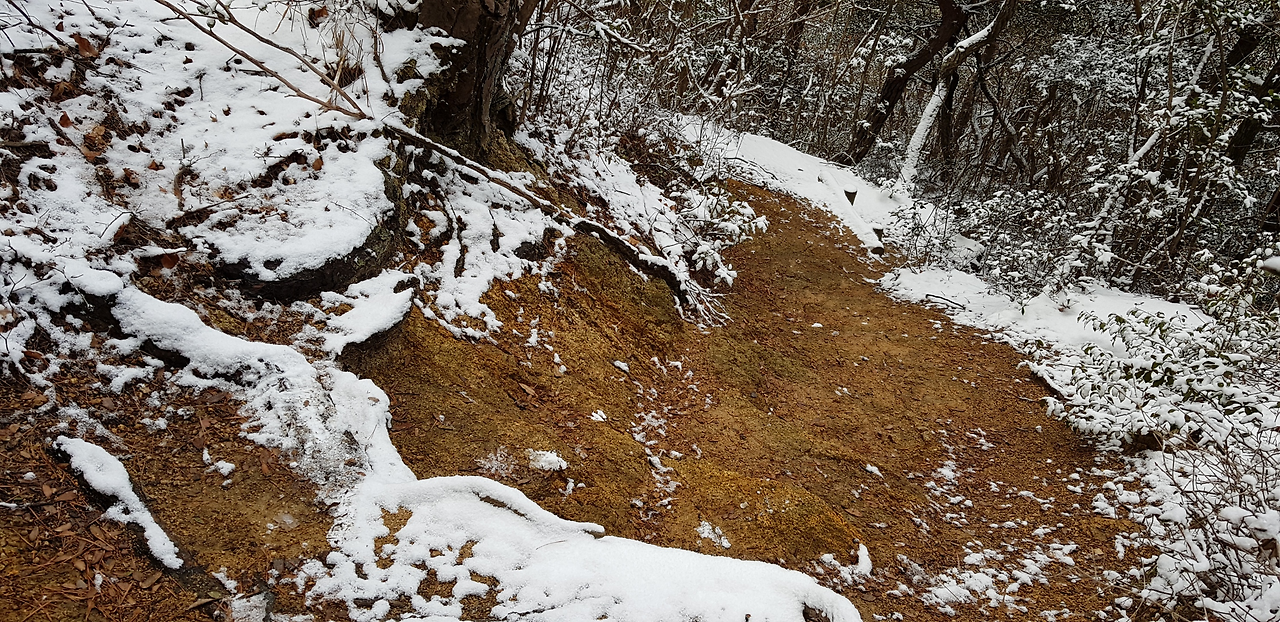 18일(따뜻한 산길).png