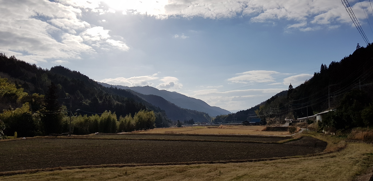 19일(밝은 아침).png