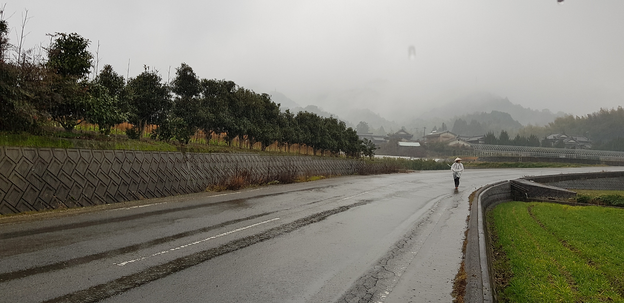 4일(센유지 가는 길).png