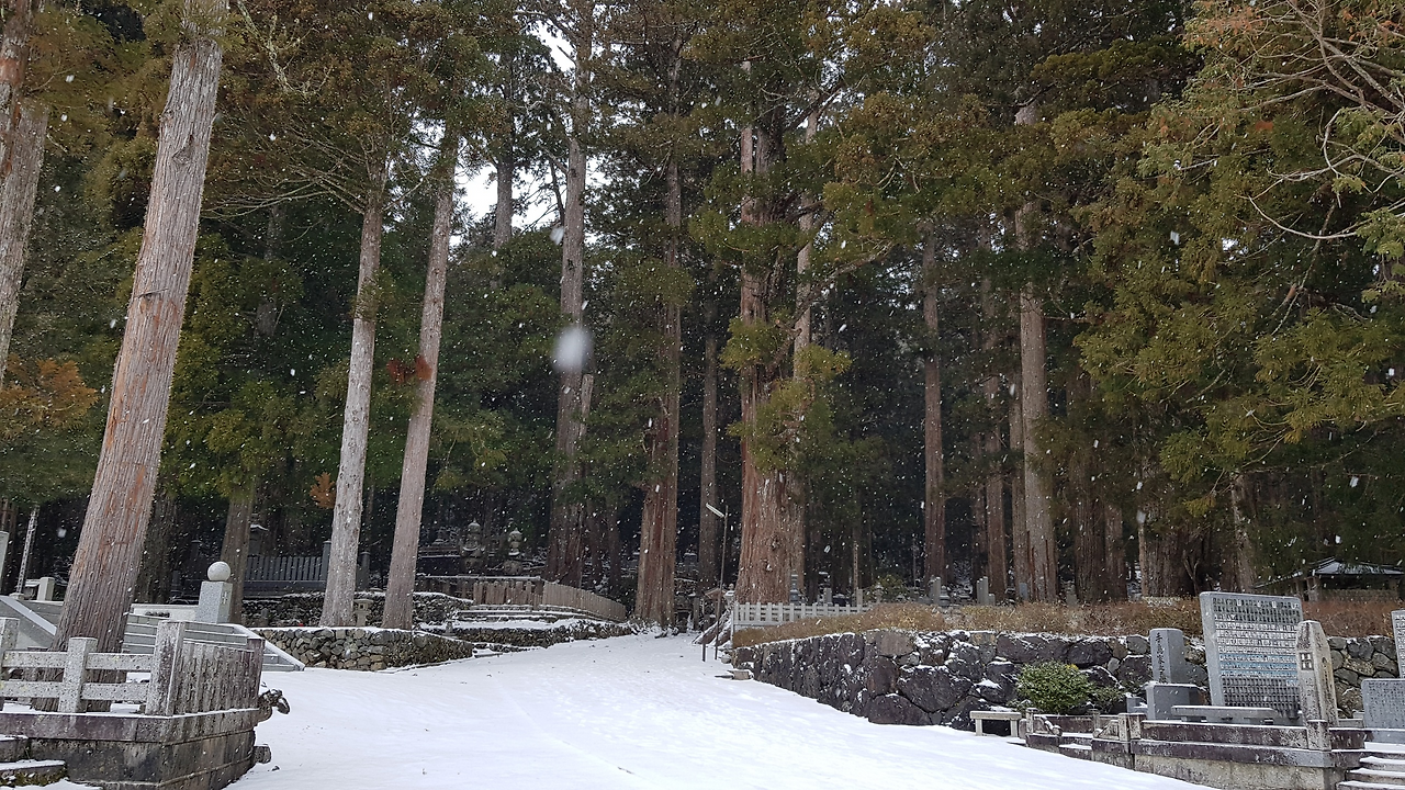 21일(오쿠노인 출구).png