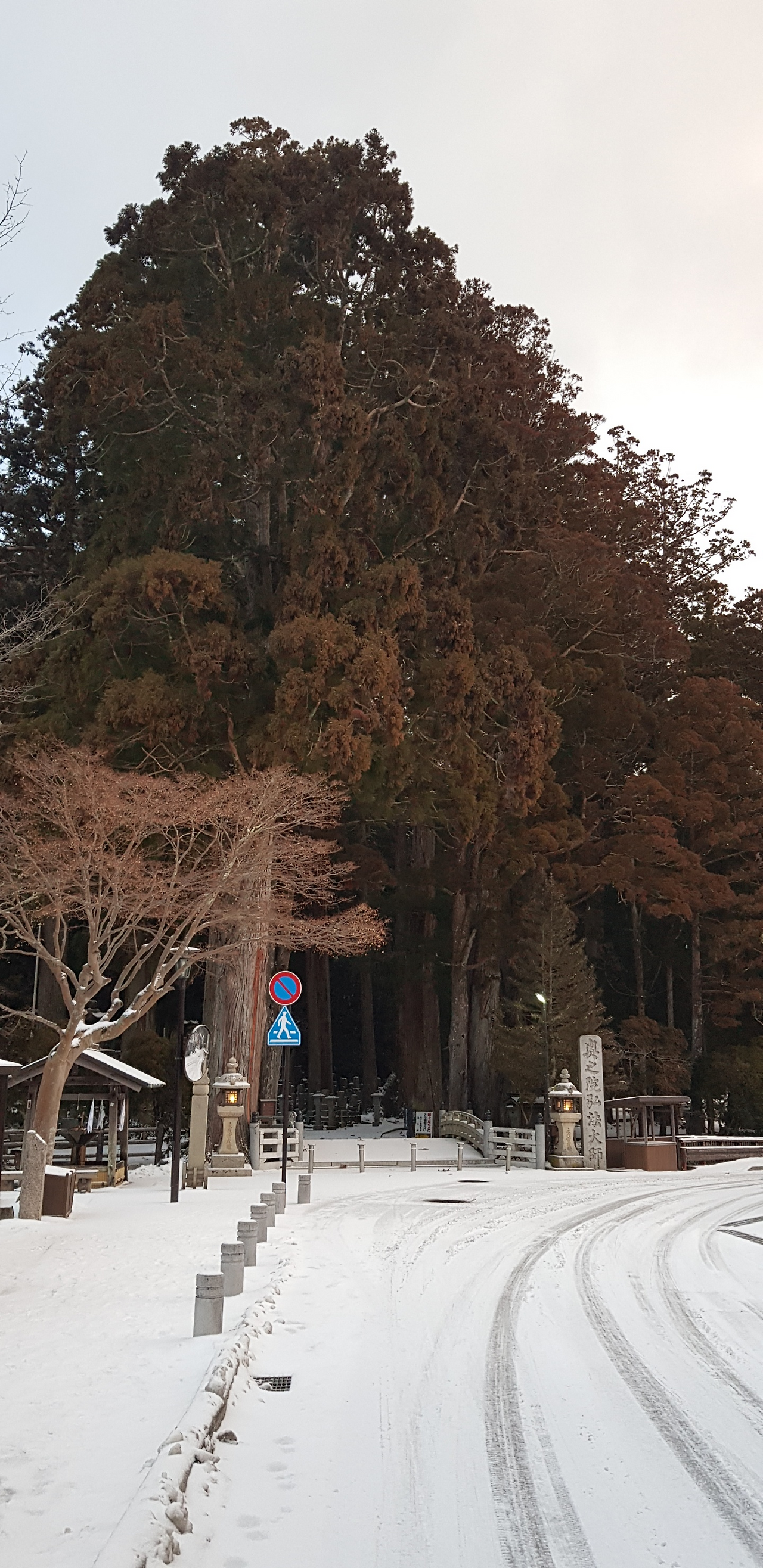 21일(오쿠노인 입구).png