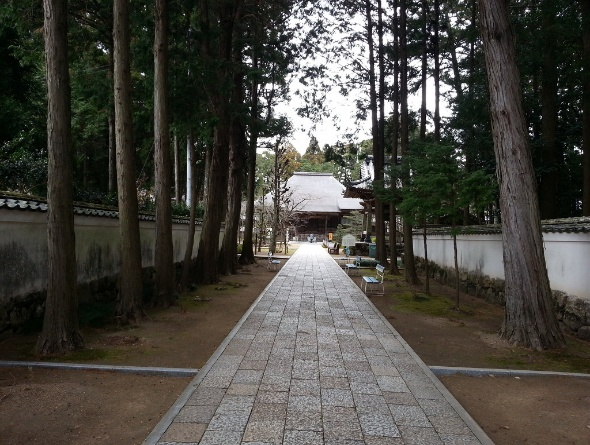 11일째(29번절 고쿠분지 들어서는 길).png