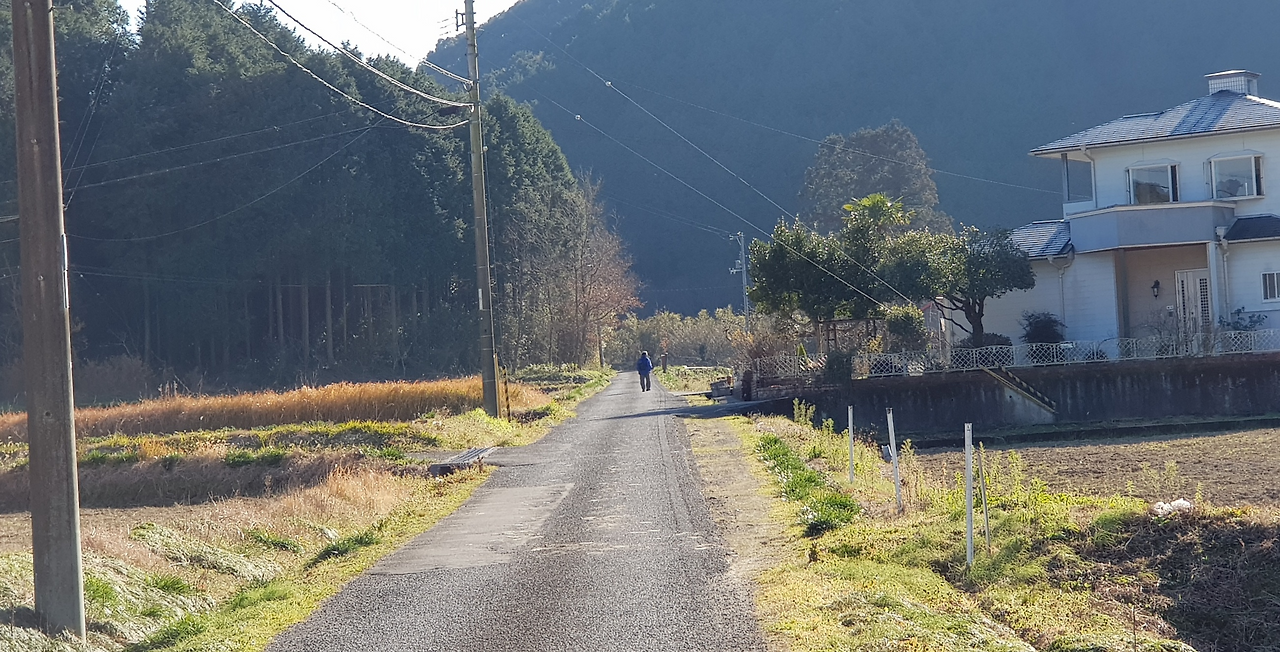 11일(홀로 걷는 헨로상).png