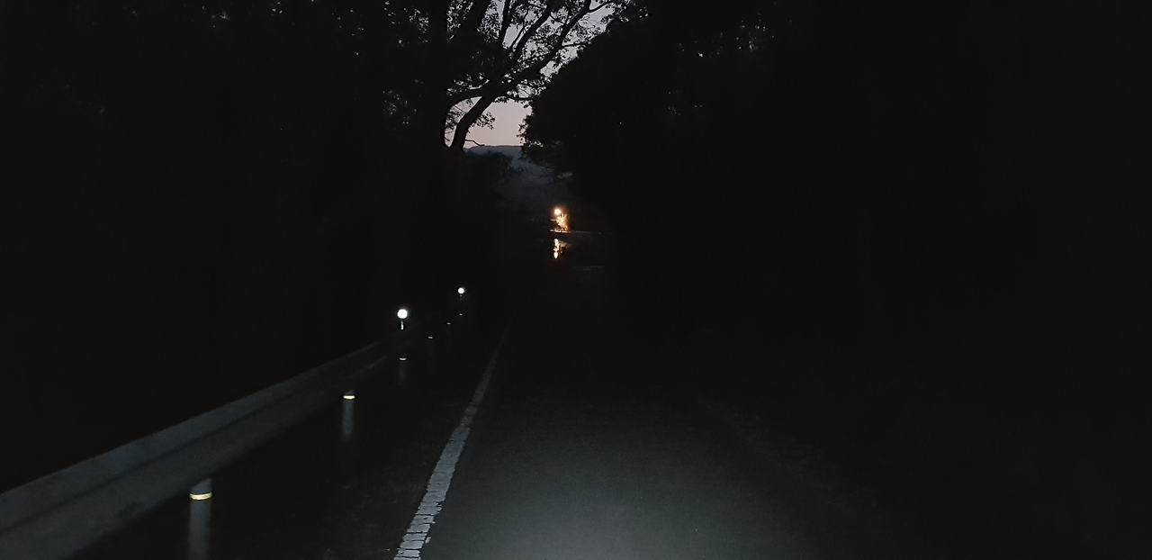 19일(늦은 귀가길).png