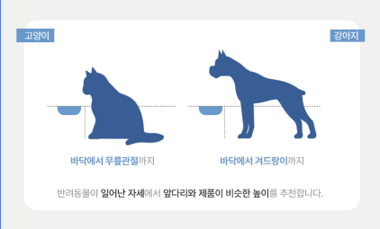 반려동물 키 재는 법.png