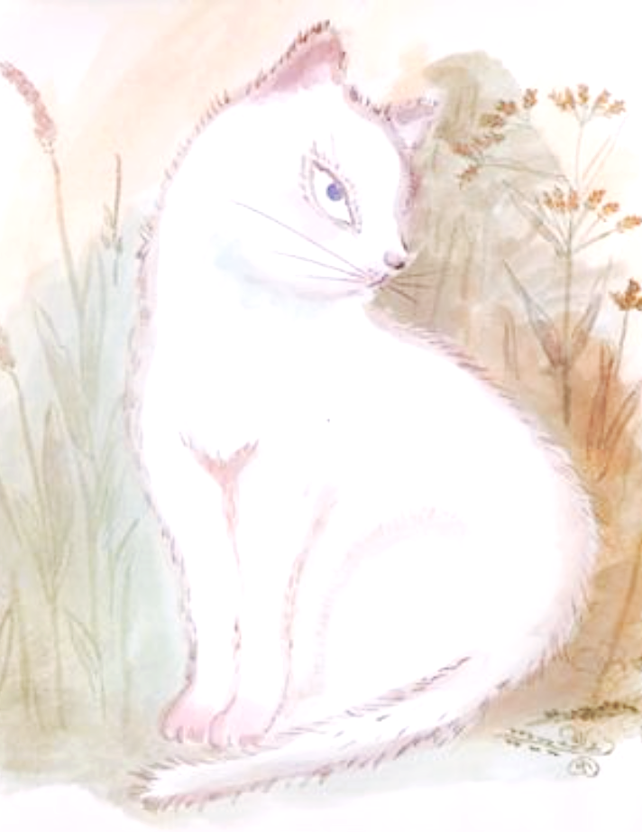 스크린샷 2020-11-06 오전 11.36.36.png