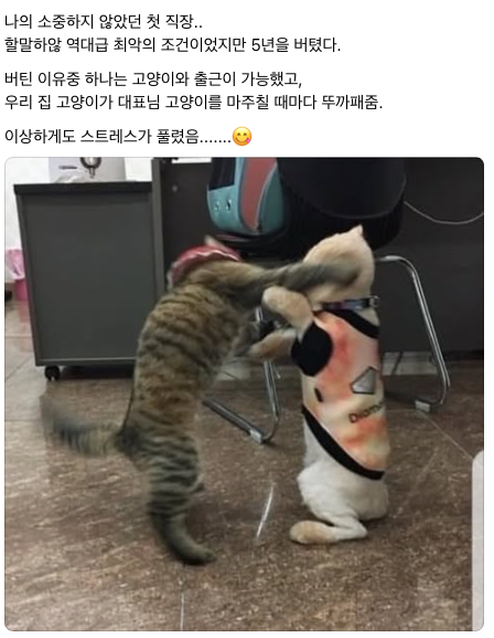 스크린샷 2025-01-18 오후 8.56.19.png