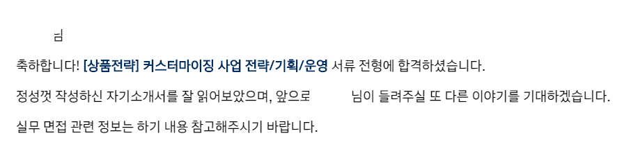 현대 커스터마이징 사업 전략기획운영.png