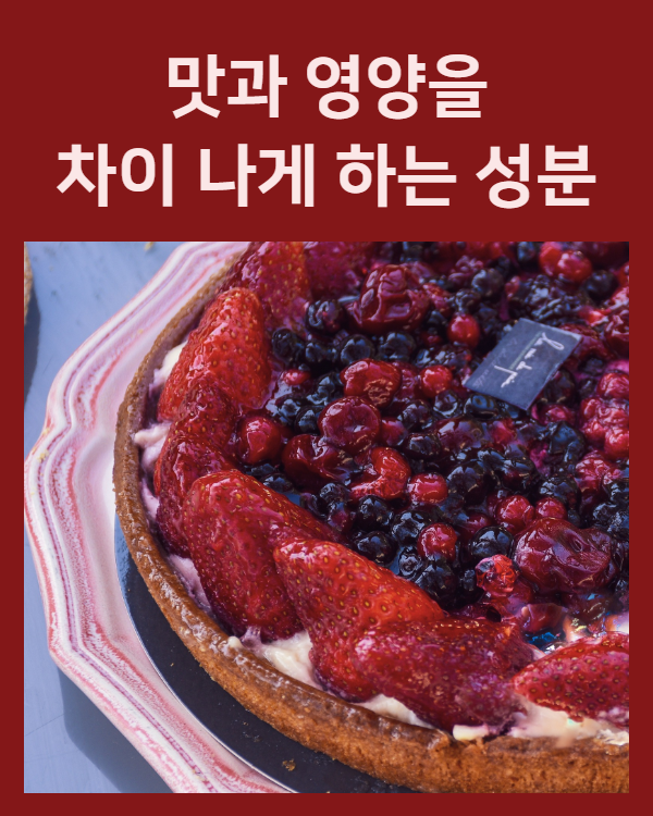 컬러의 힘 수정.png