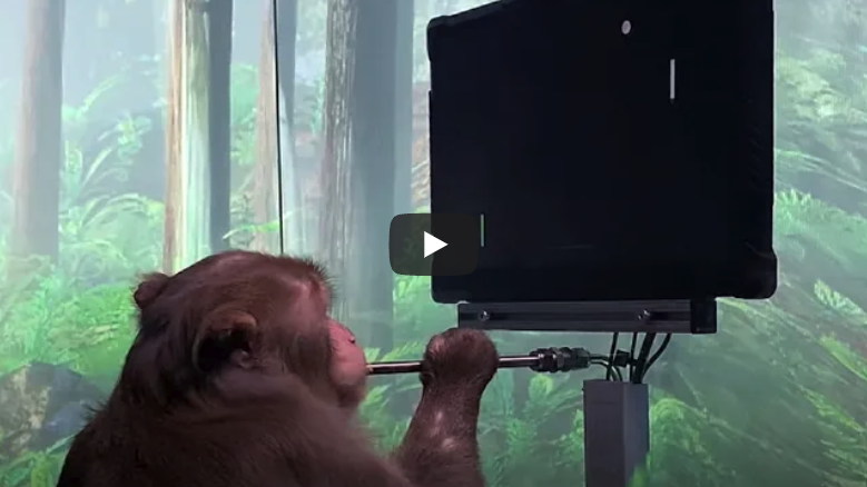 스크린샷 2024-07-17 오후 6.41.58.png