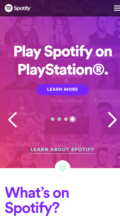 Music for everyone   Spotify.png