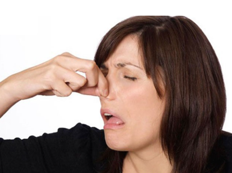 KakaoTalk_20170119_110546604 - 복사본.png