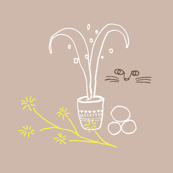 스크린샷 2019-10-23 오후 5.14.28.png