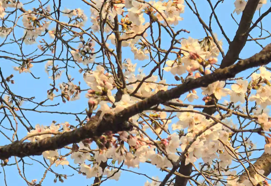 스크린샷 2024-05-01 105930.png