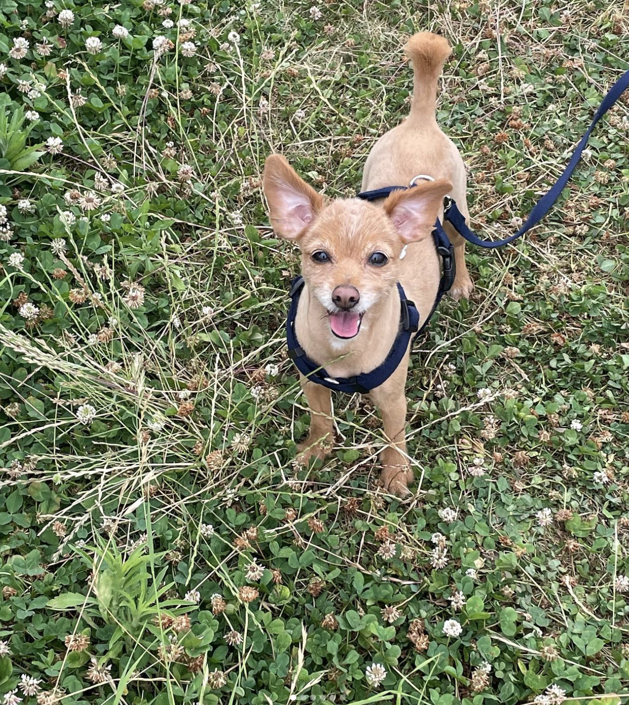 스크린샷 2022-10-15 오전 6.54.43.png