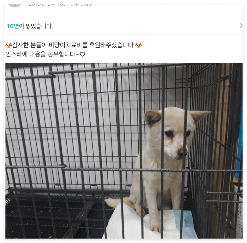 스크린샷 2022-10-25 오전 5.27.39.png