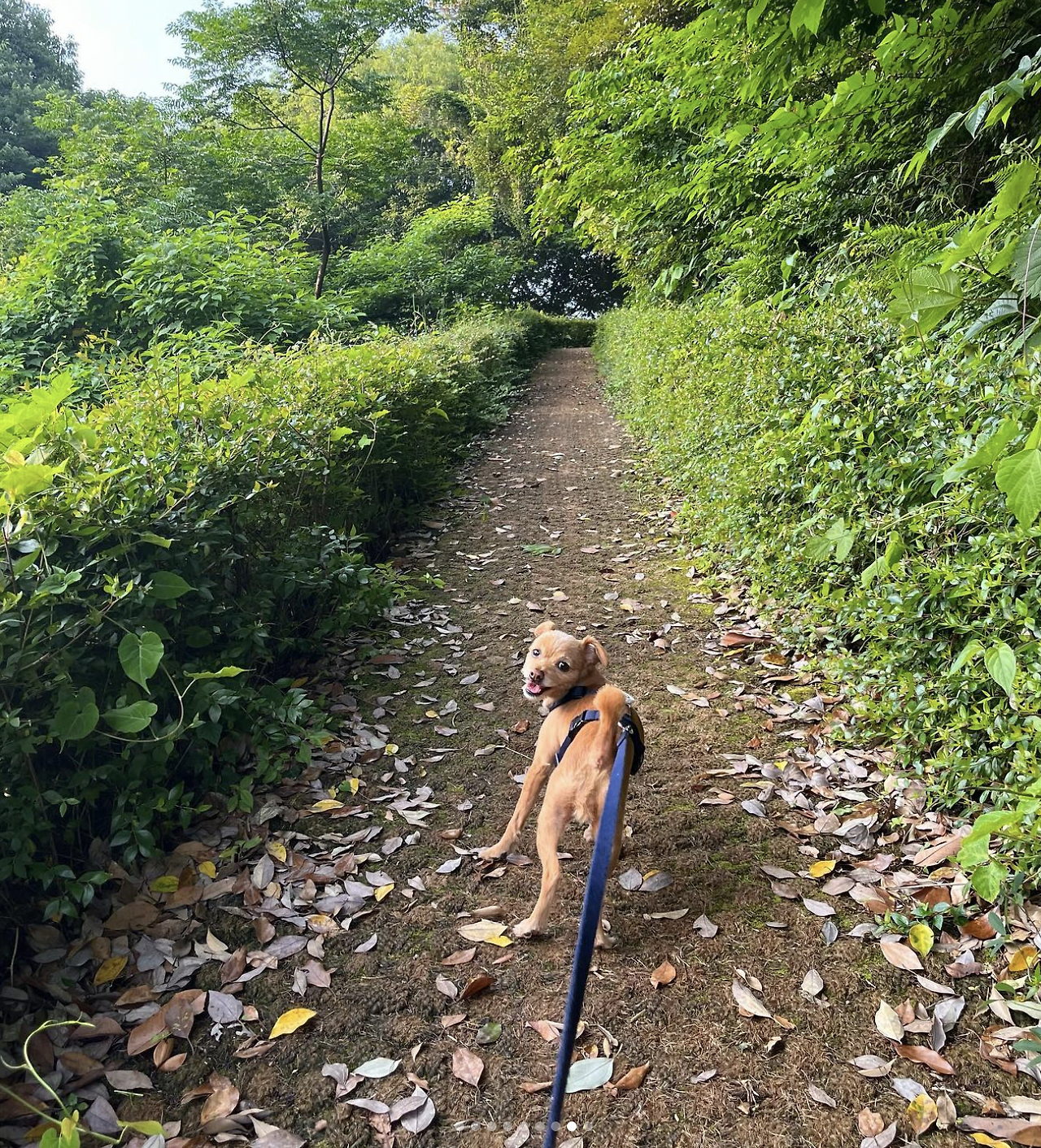 스크린샷 2022-10-15 오전 6.54.32.png