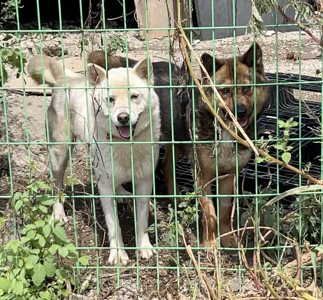 스크린샷 2022-08-18 오후 9.03.38.png