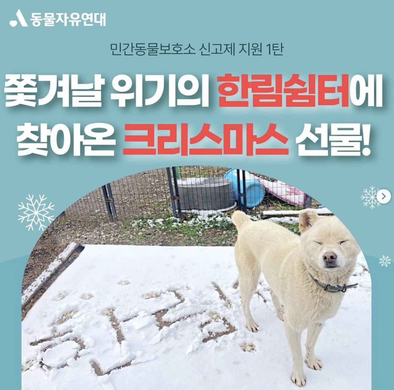 스크린샷 2024-03-07 오전 9.07.38.png