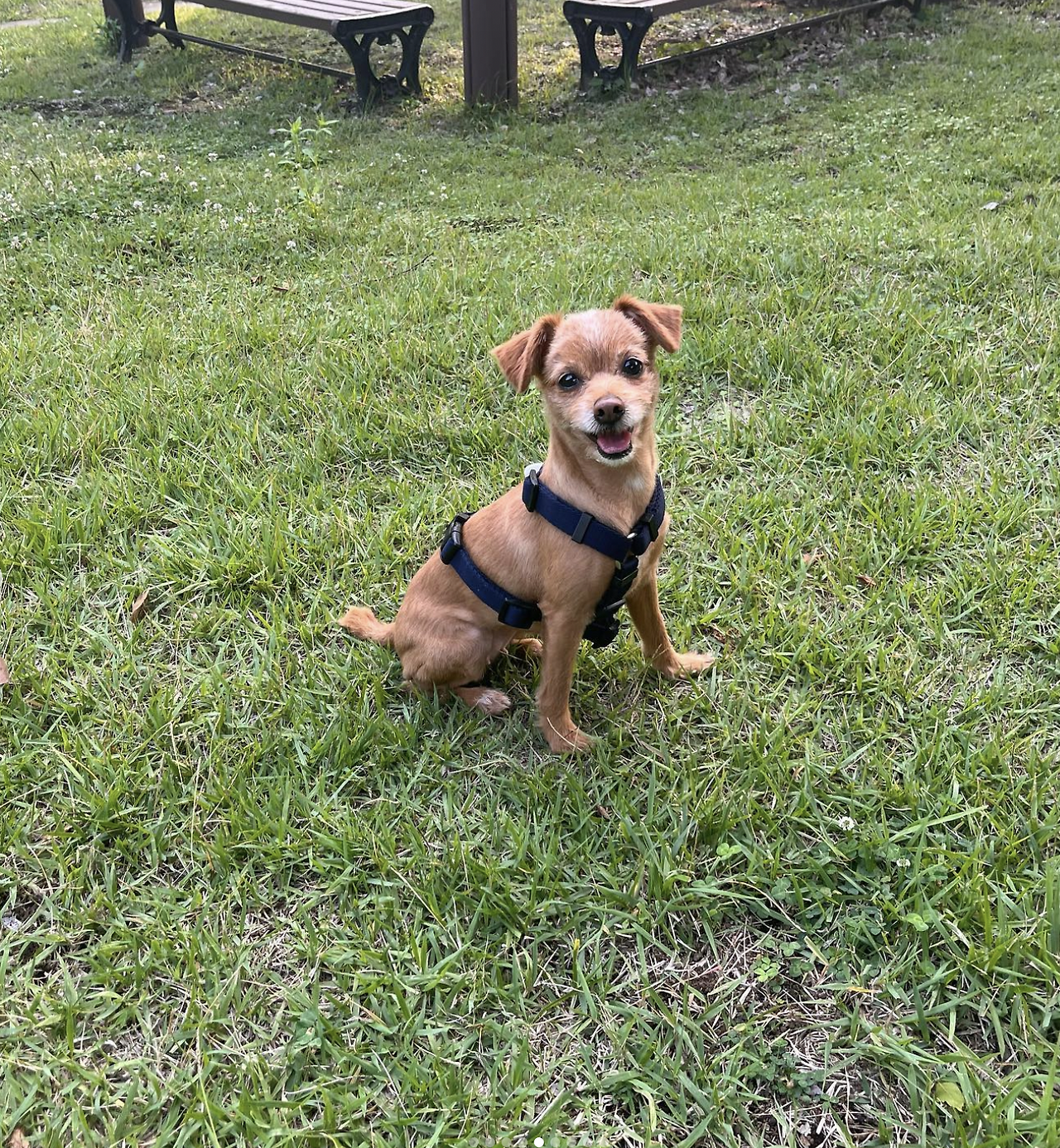 스크린샷 2022-10-15 오전 6.54.20.png