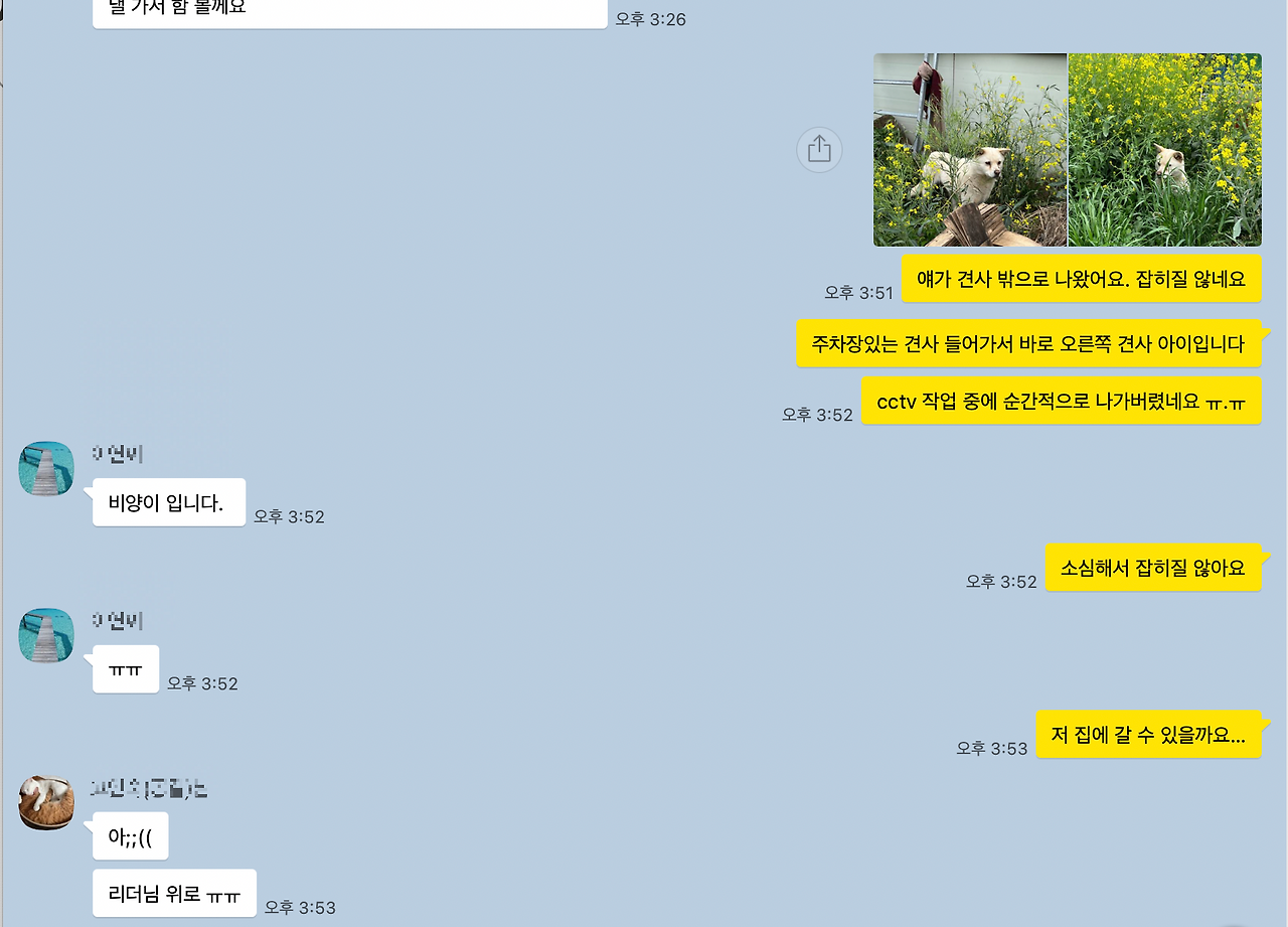 스크린샷 2022-10-25 오전 5.29.35.png