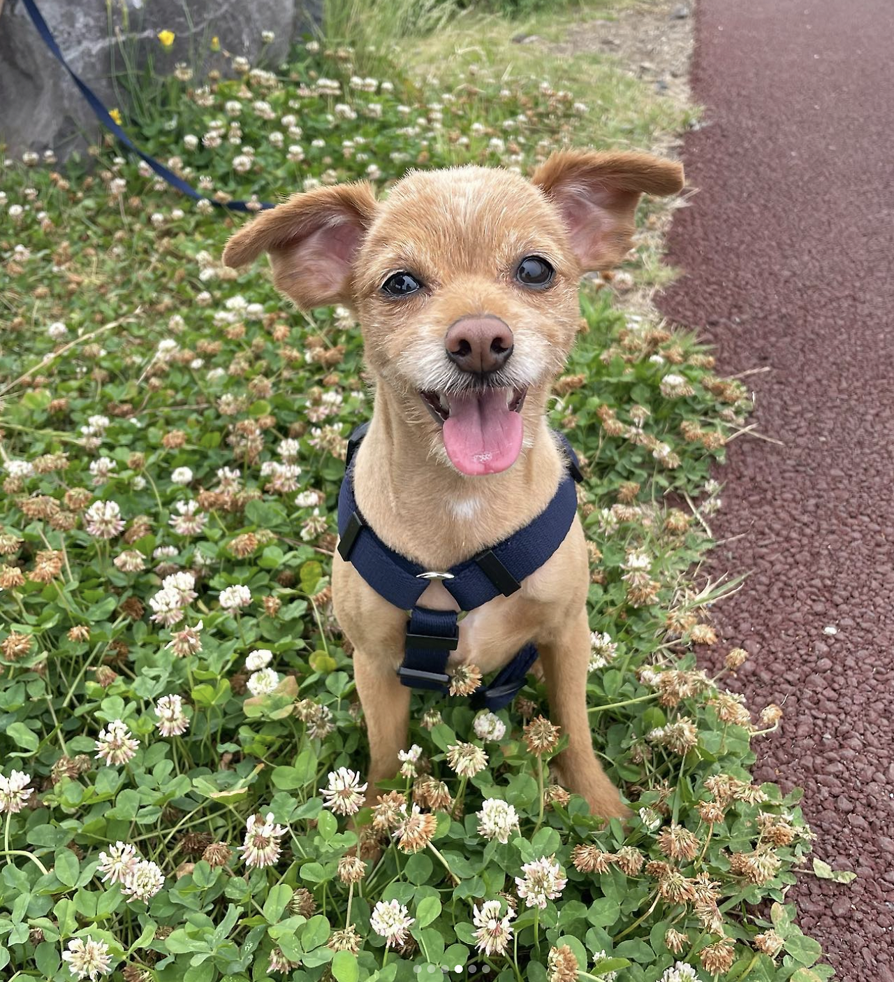 스크린샷 2022-10-15 오전 6.54.54.png