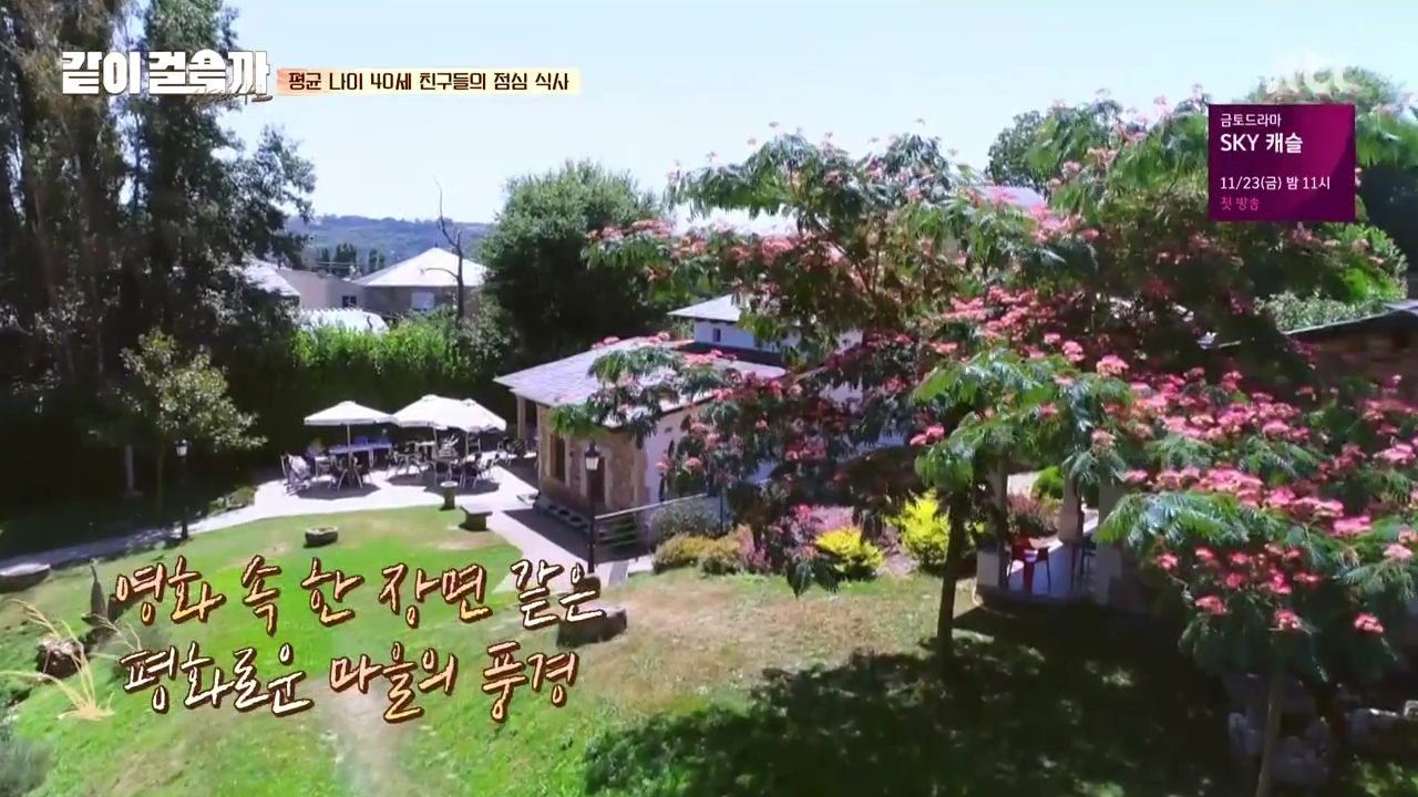 같이 걸을까.E05.181108.720p-NEXT.mp4_002346177.png