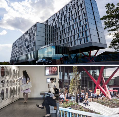 Screen Shot 2017-01-17 at 6.45.05 PM.png