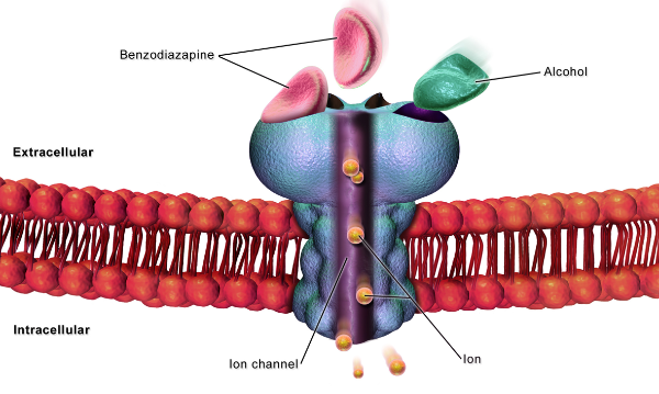 스크린샷 2025-03-04 20.53.12.png
