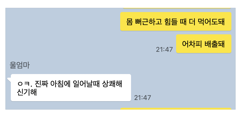 스크린샷 2024-04-13 21.17.06.png