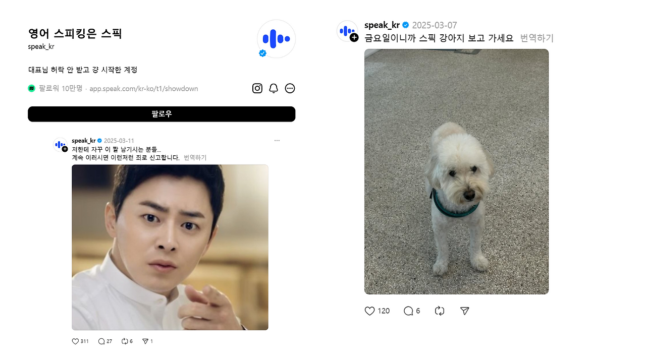 스픽 쓰레드.png