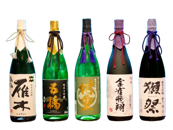 image-removebg-preview (85).png