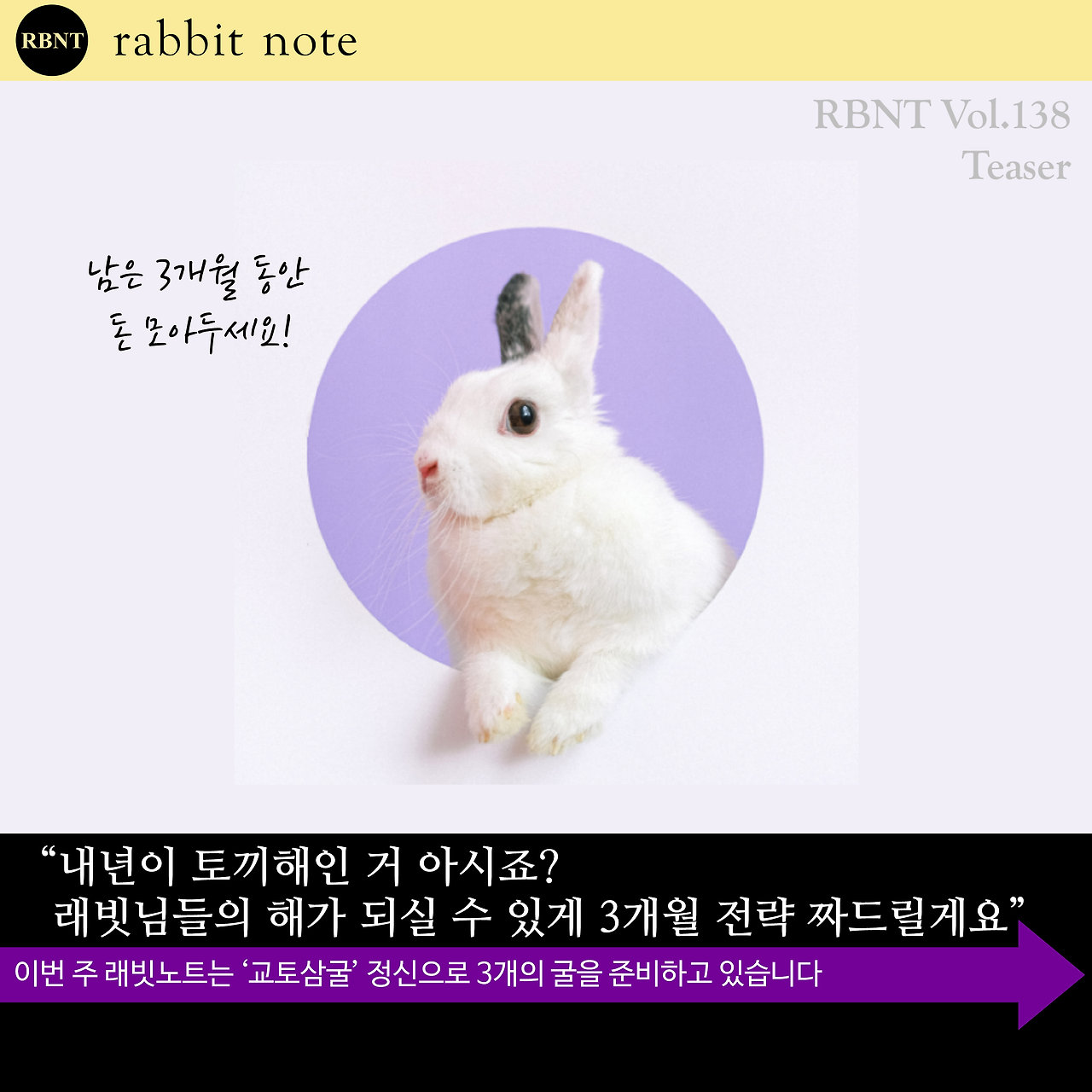 138호 티저(토끼).png