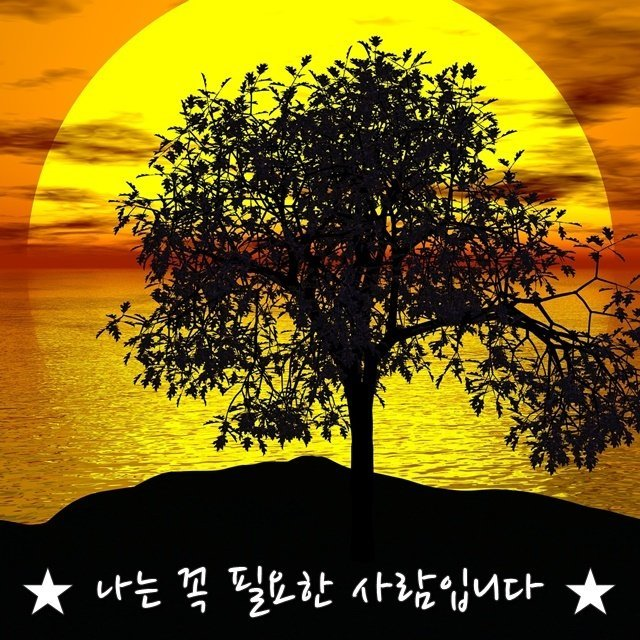 필요2.png