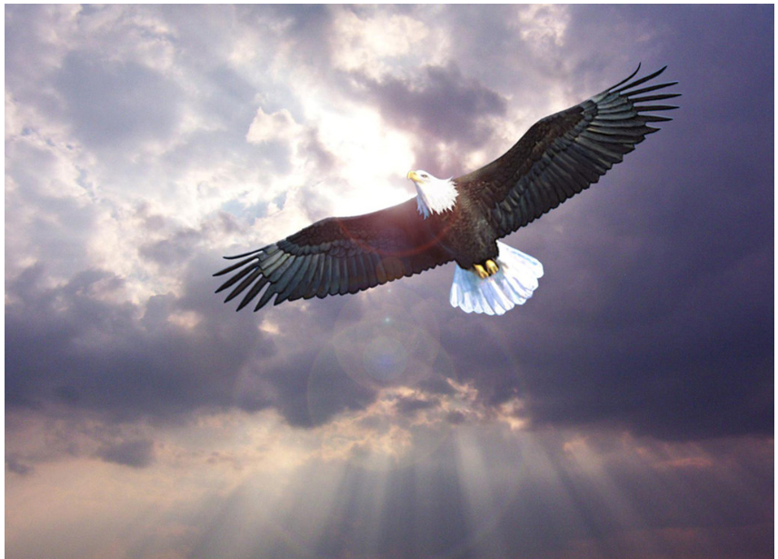 꿈이 잇는ㅇ 한 절망은 없다.png