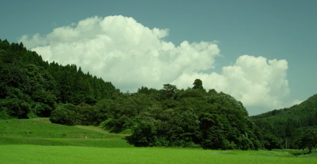 스크린샷 2016-06-27 오전 12.28.52.png