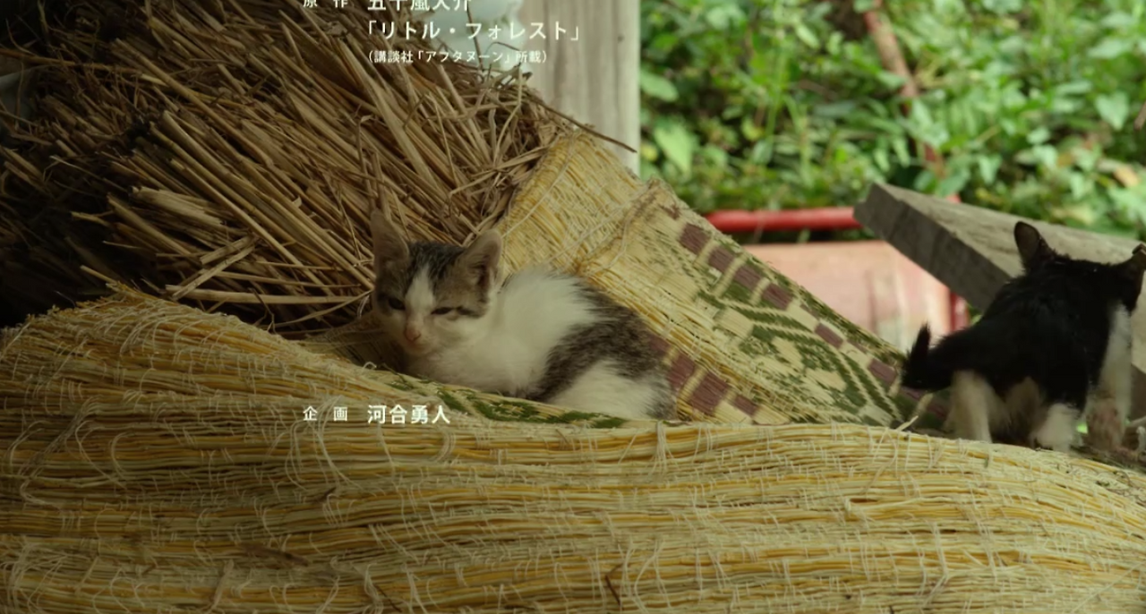 스크린샷 2016-06-27 오전 12.30.08.png