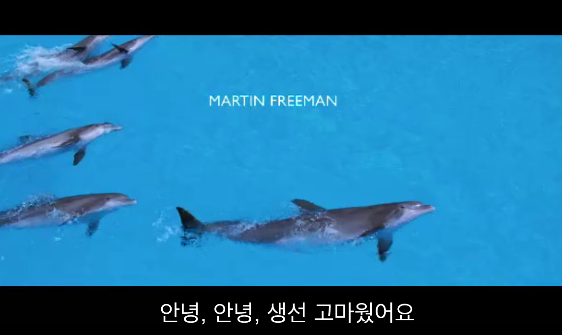 스크린샷 2016-02-03 오전 12.01.43.png