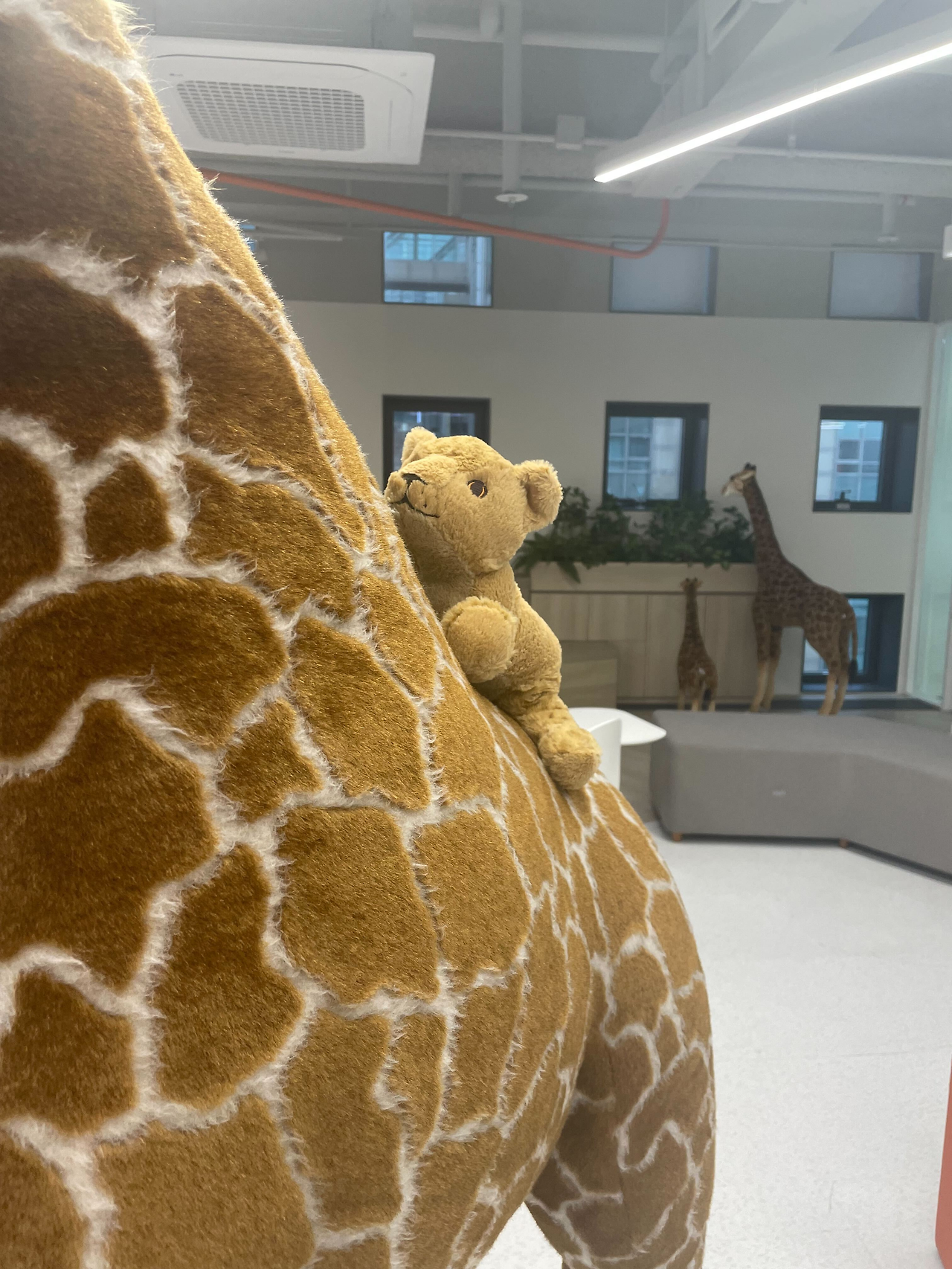 [LIKELION] 인턴기(11).png