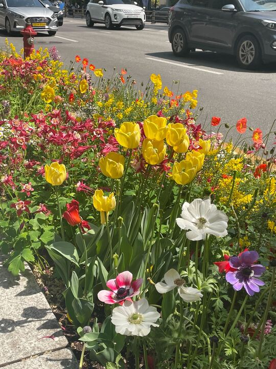 [LIKELION] 인턴기(14).png