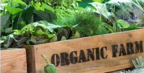 스크린샷 2019-04-16 오후 1.42.31.png