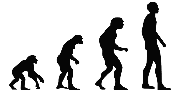 kisspng-homo-sapiens-ape-human-evolution-evolution-2-0-br-homo-sapiens-5b5868167f6202.5855285915325204705218.png
