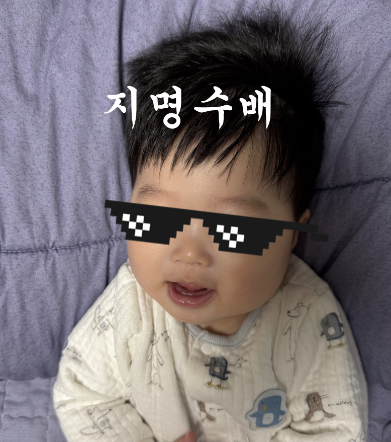 스크린샷 2024-12-01 오후 10.24.40.png