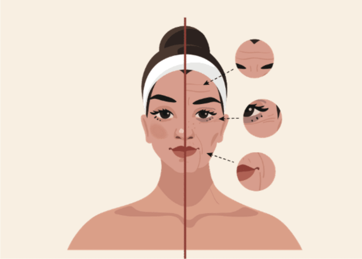 스크린샷 2024-05-19 오후 11.14.12.png