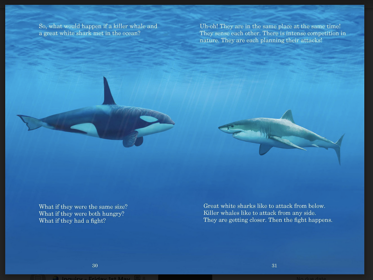 Screen Shot 2020-05-11 at 10.36.31 pm.png