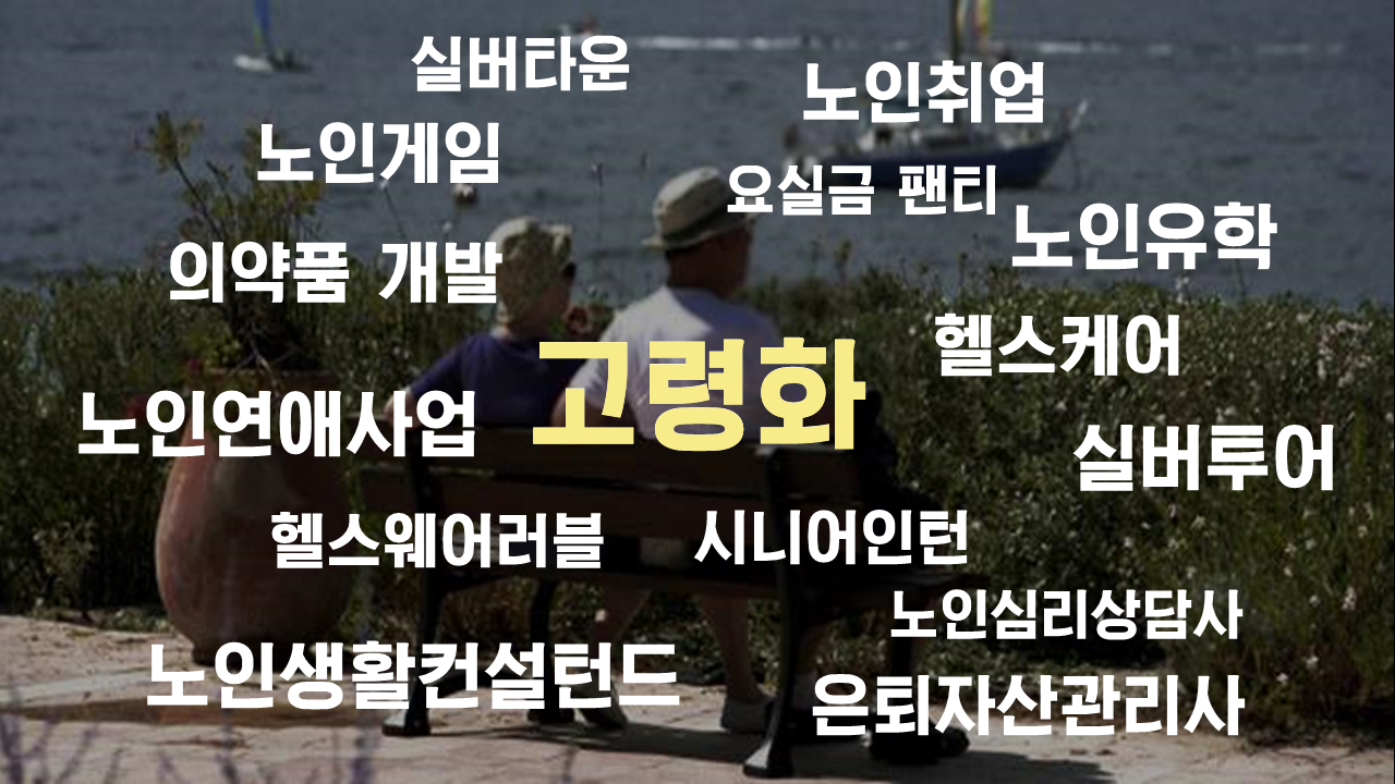 고령화.png