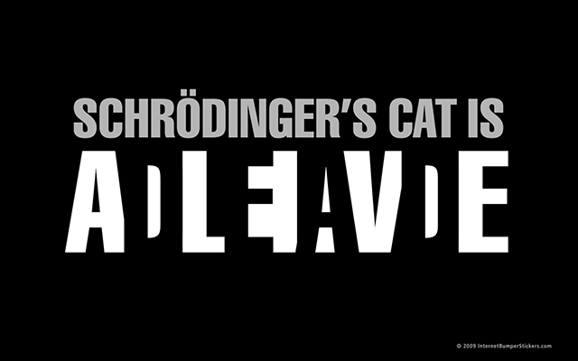 schrodingers-cat.png