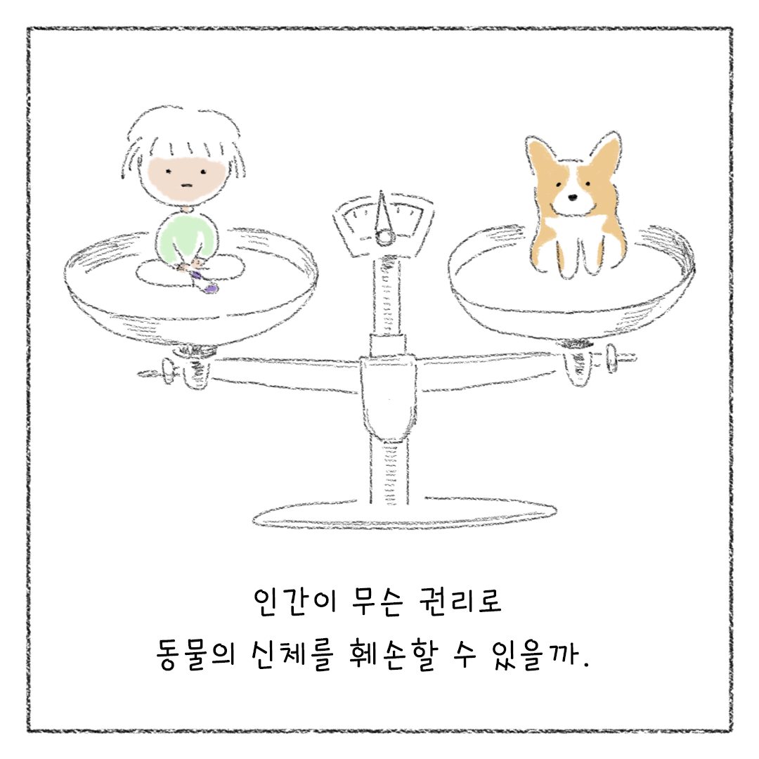 5_비건_비거니즘_18.png