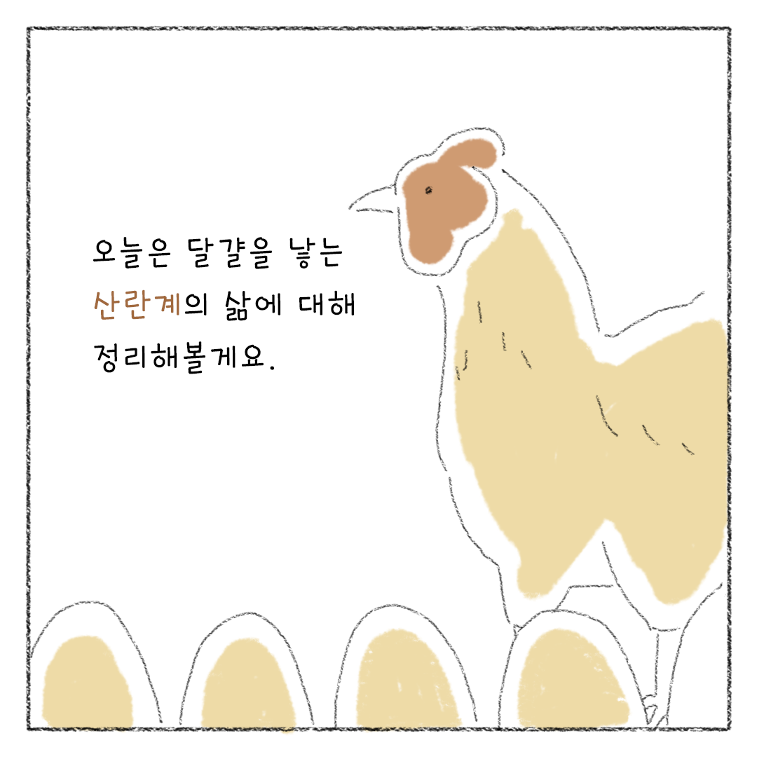 비거니즘_07.png