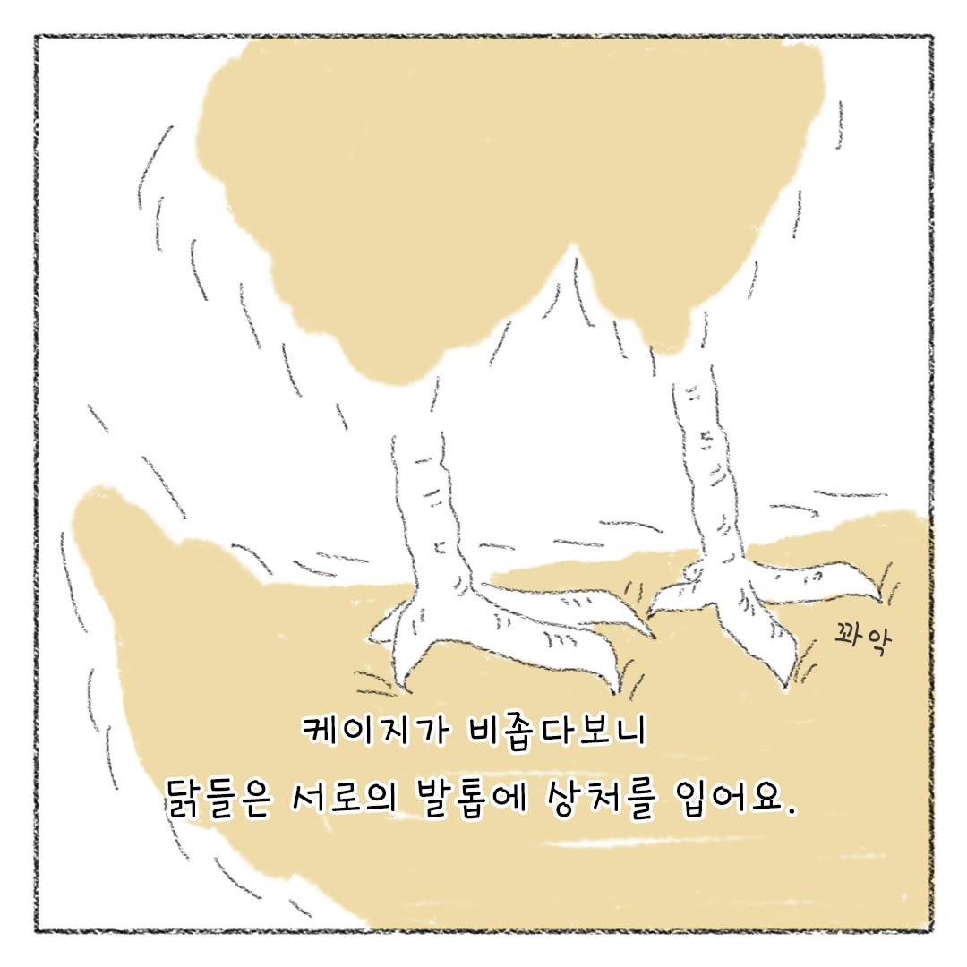 비거니즘_22.png